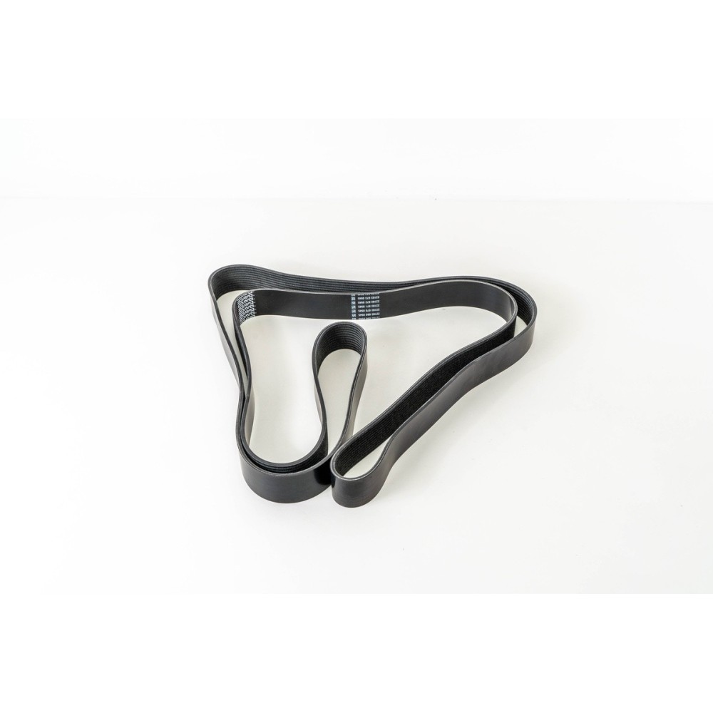 CINGHIA 11PK2835 - CORREA DAYCO