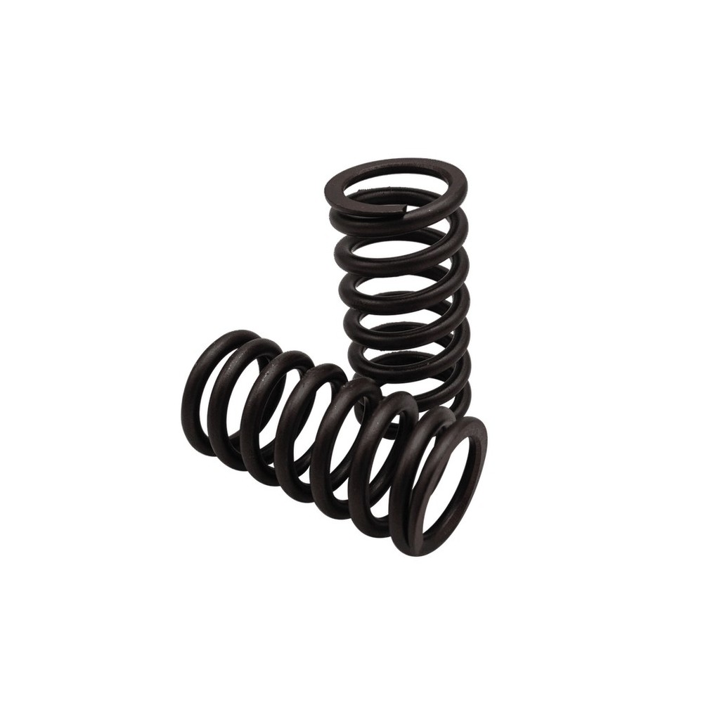 CURSOR 8 - Muelle Valvula