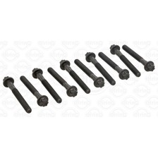 SERIE VITI OM611/646 (10PZ.) - Tornillos de culata