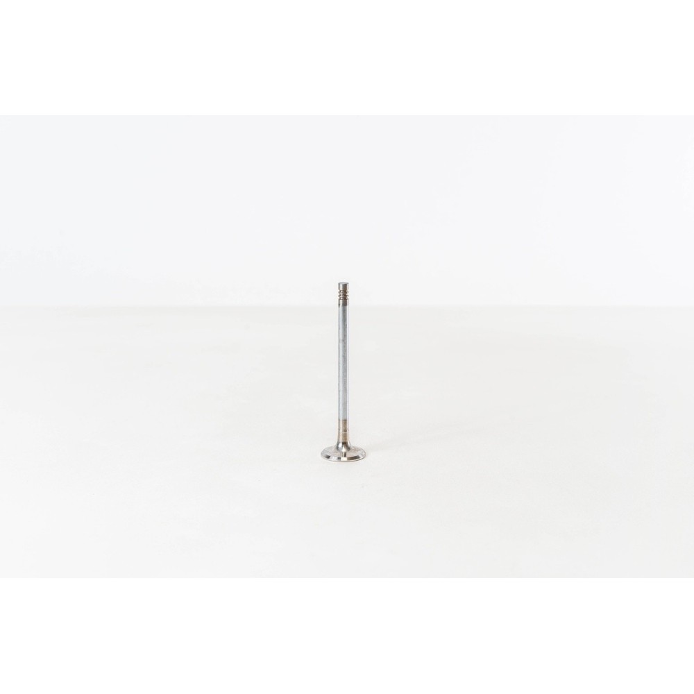 FREELANDER/BMW 2.0TDI 16V.TDI - Valvula MEC