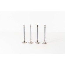 LAGUNA 2.2 D/TD - G8T - - Valvula MEC