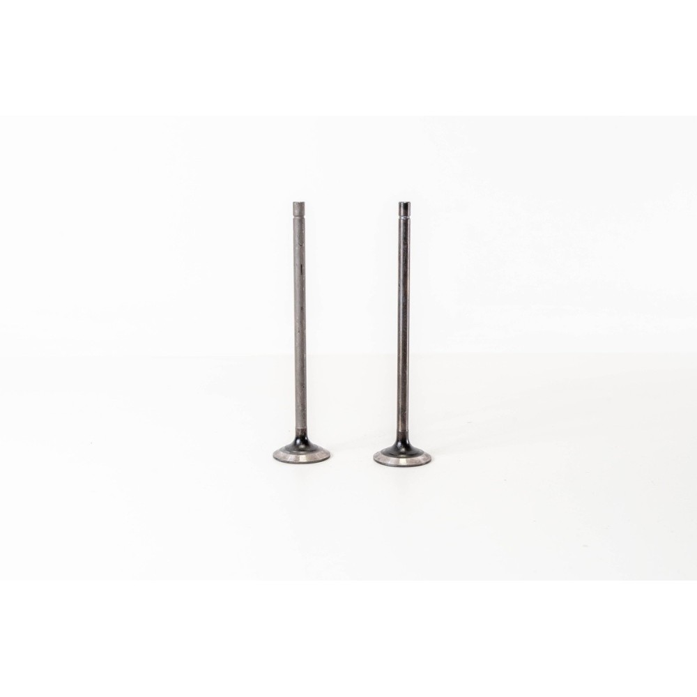 F2BE0642 - CURSOR 8 - STRALIS - Valvula MEC