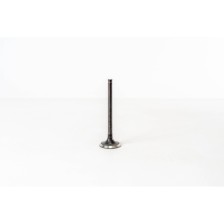 BD30/TD27 - ATLEON/TERRANO 2.7 D - Valvula MEC