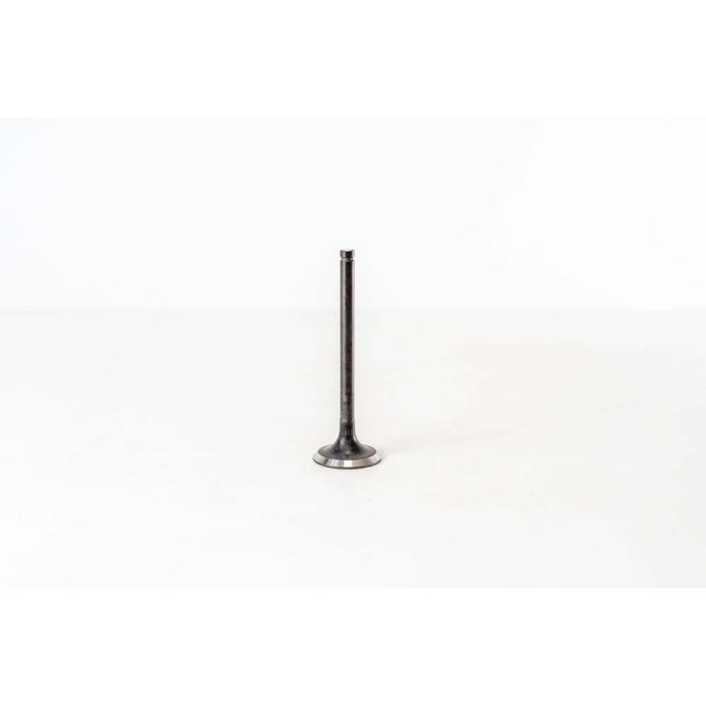 BD30/TD27 - ATLEON/TERRANO 2.7 D - Valvula MEC