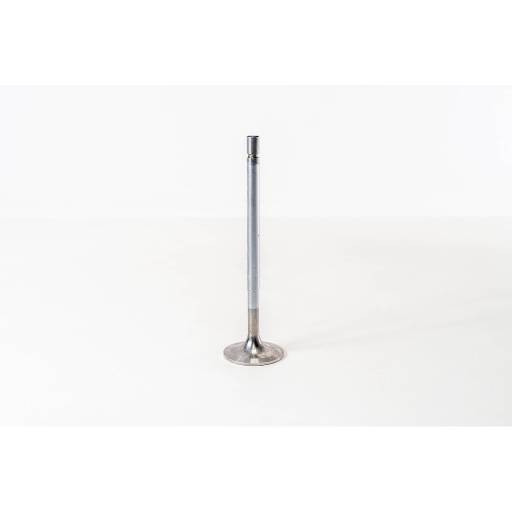 XF 250/280/315/355M 4V E2  20°  IN - Valvula MEC