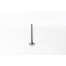 8149.03 - DAILY 2.8 - Valvula MEC