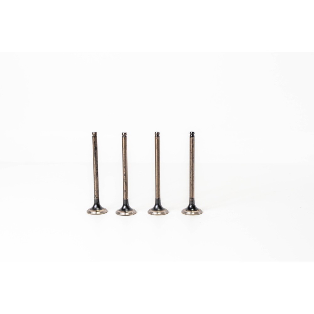 QUBO/FIORINO 1.4 - 8 V. GAS - Valvula MEC