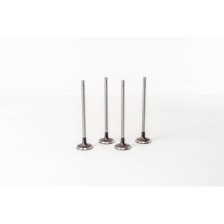 MASTER/TRAFIC 2.5DCI 16V  G9T/ - Valvula MEC