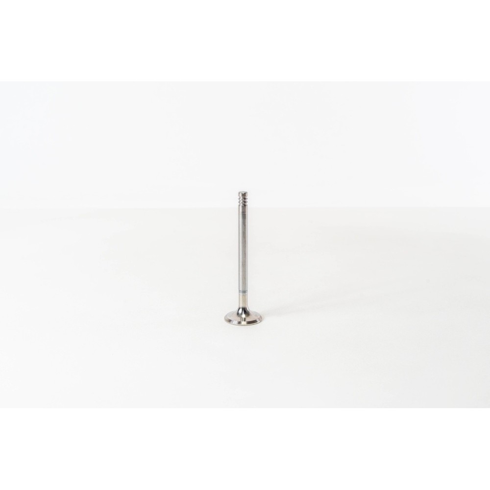 FOCUS/C-MAX/FIESTA - DURATORQ - Valvula MEC