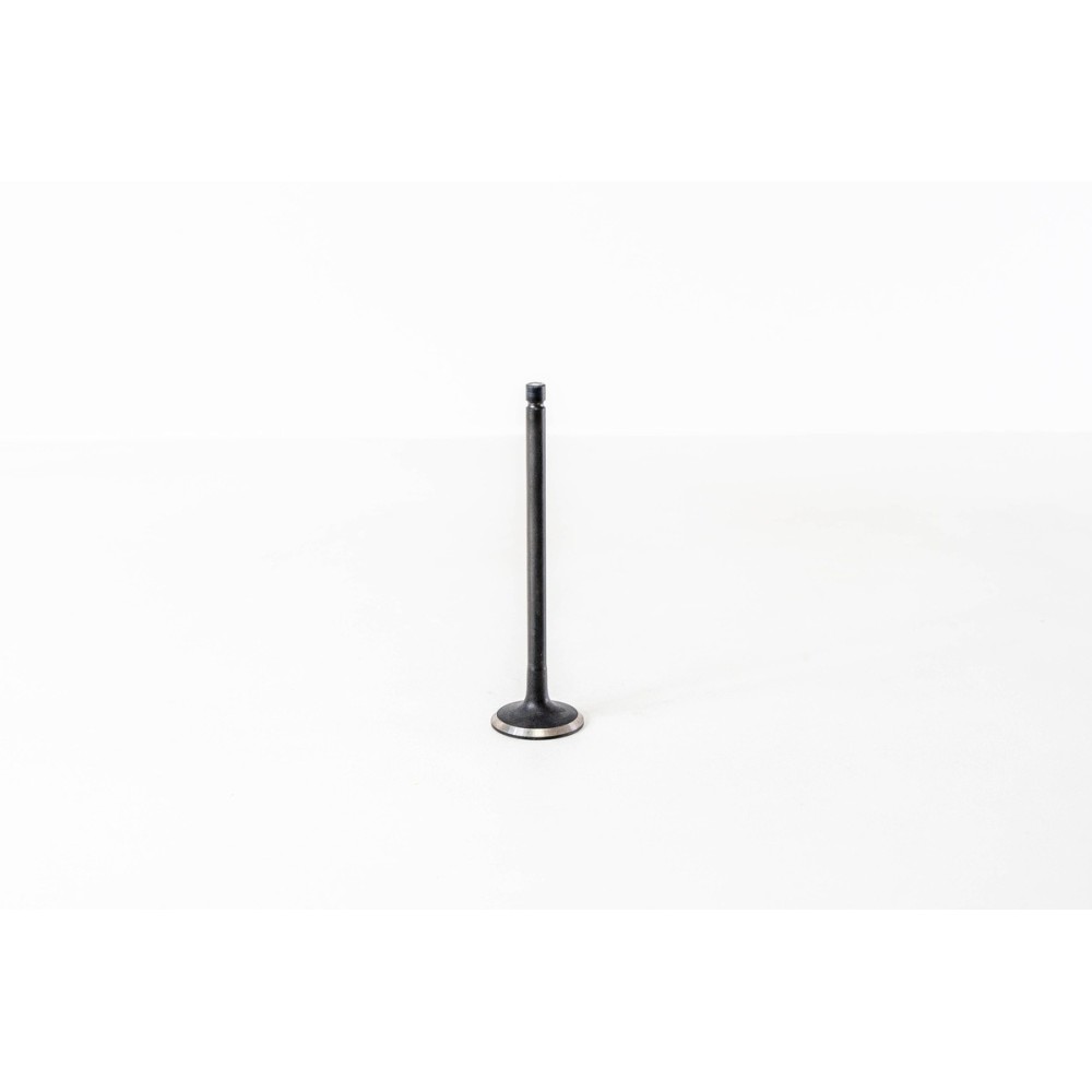 CARNIVAL J3 2.9CRDI 4V 98- - Valvula MEC