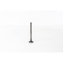 CARNIVAL J3 2.9CRDI 4V 98- - Valvula MEC