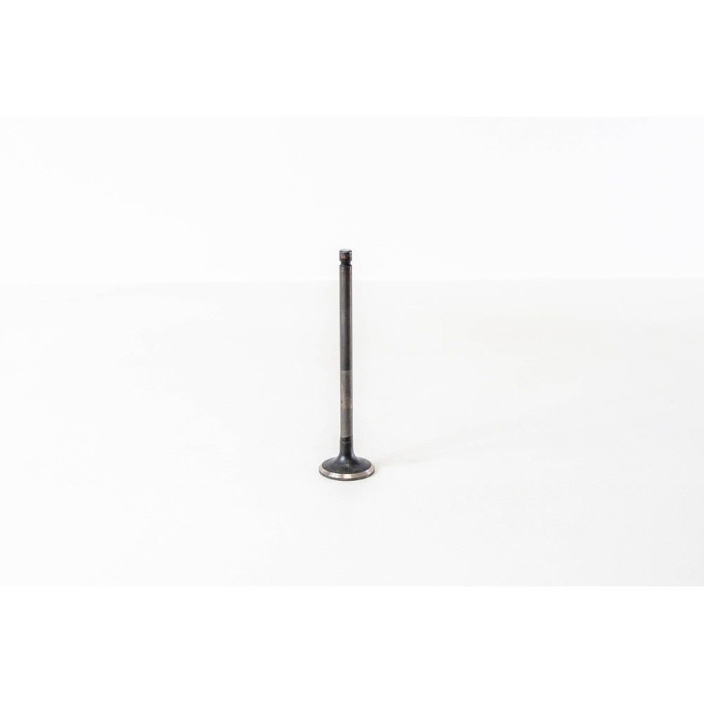 CARNIVAL J3 2.9CRDI 4V 98- - Valvula MEC