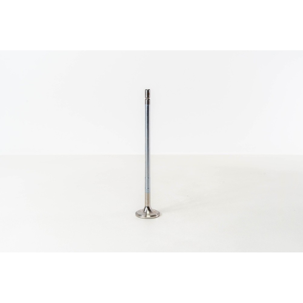 D9A260/300/340/380 - FM/FM9  IN - Valvula MEC