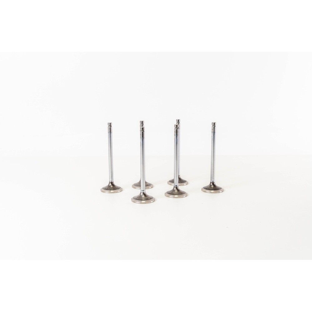 F4BE0641/N60 - NEF 6 CNG - - Valvula OE