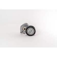 TENDICINGHIA CITARO BUS - Tensor Correa