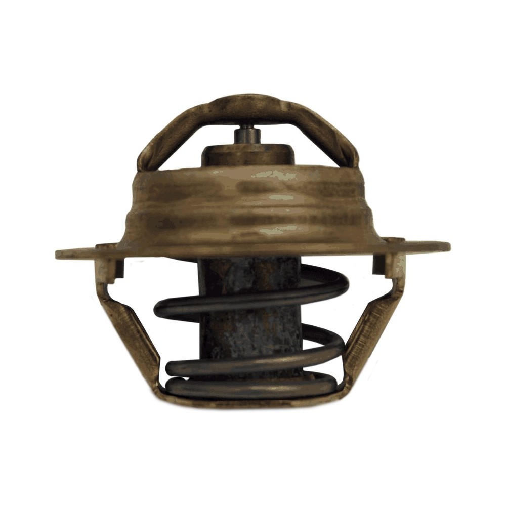 F4R - LAGUNA III 2.0 GT - TERMOSTATO