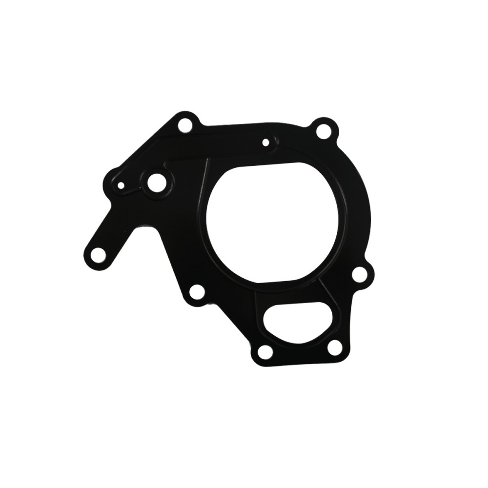 GUARNIZIONE TERMOSTATO - Juntas