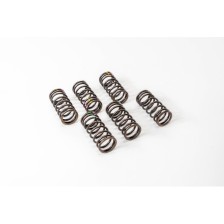 OM 401/402/441/442 - INTERNO - Muelle Valvula