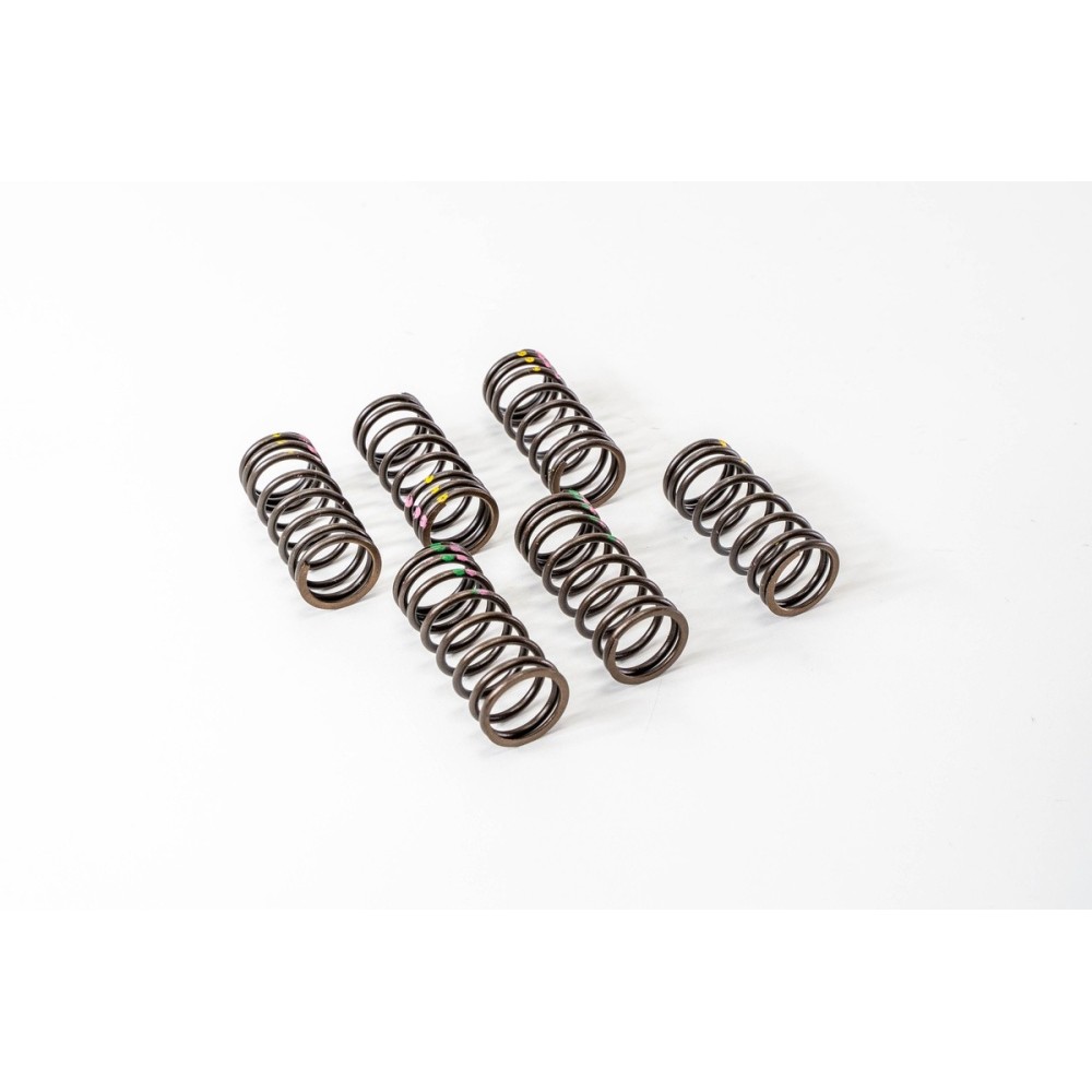 OM 401/402/441/442 - INTERNO - Muelle Valvula