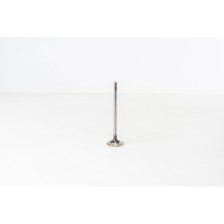 F1CE0441A/CNG -DAILY/DUCATO 3.0 GAS - Valvula OE