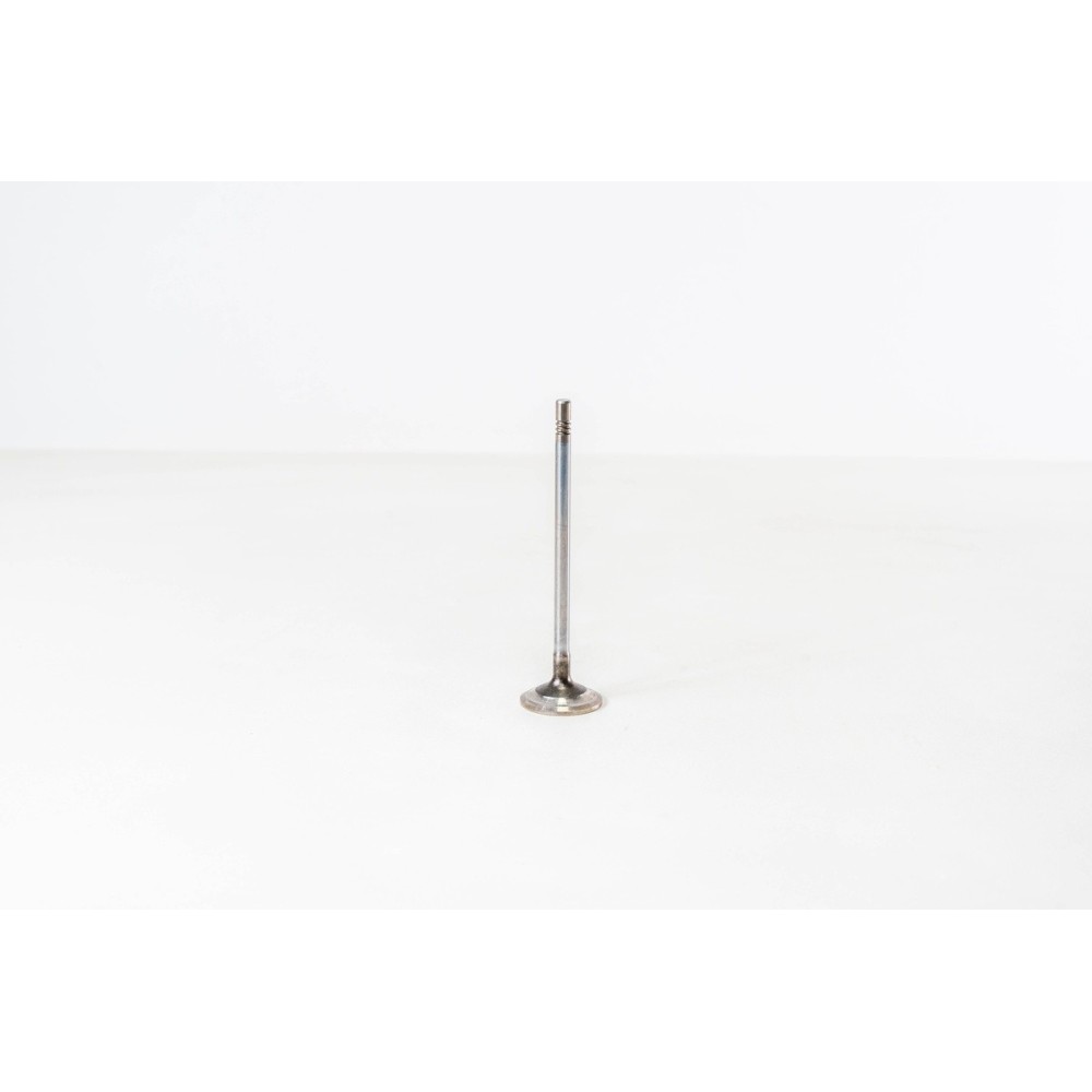 F1CE0441A/CNG -DAILY/DUCATO 3.0 GAS - Valvula OE