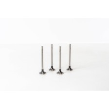 GOLF 2.0 TDI 16V CBAA 26X6X99,1/45° - Valvula MEC