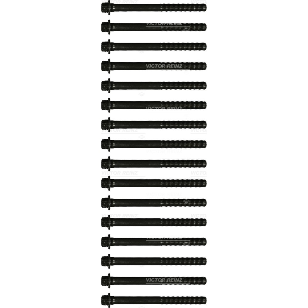S.VITI(16PZ)D 0834 LFL 52/53/54/55 - Tornillos de culata