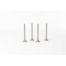 GOLF/POLO 1.6TDI CAYE/CAYD/CAY - Valvula MEC