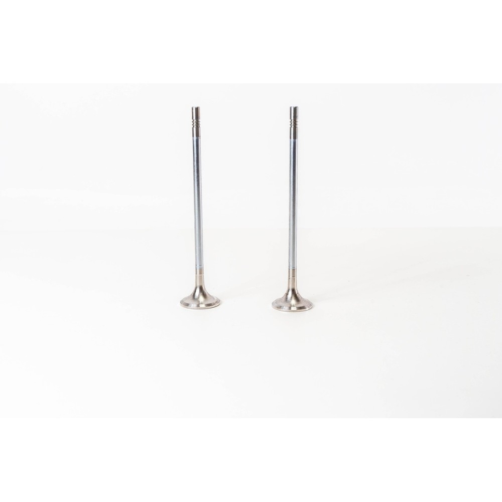 D13A/B/C - FH/FM/FMX  E4/5 - Valvula MEC