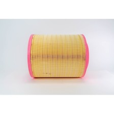 ELEMENTO FILTRO STRALIS EURO 6 - Filtro Aire OE