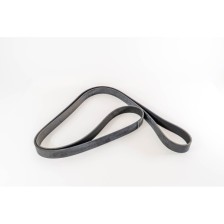 CINGHIA POLI V 8 PK 2515 - Correa OE