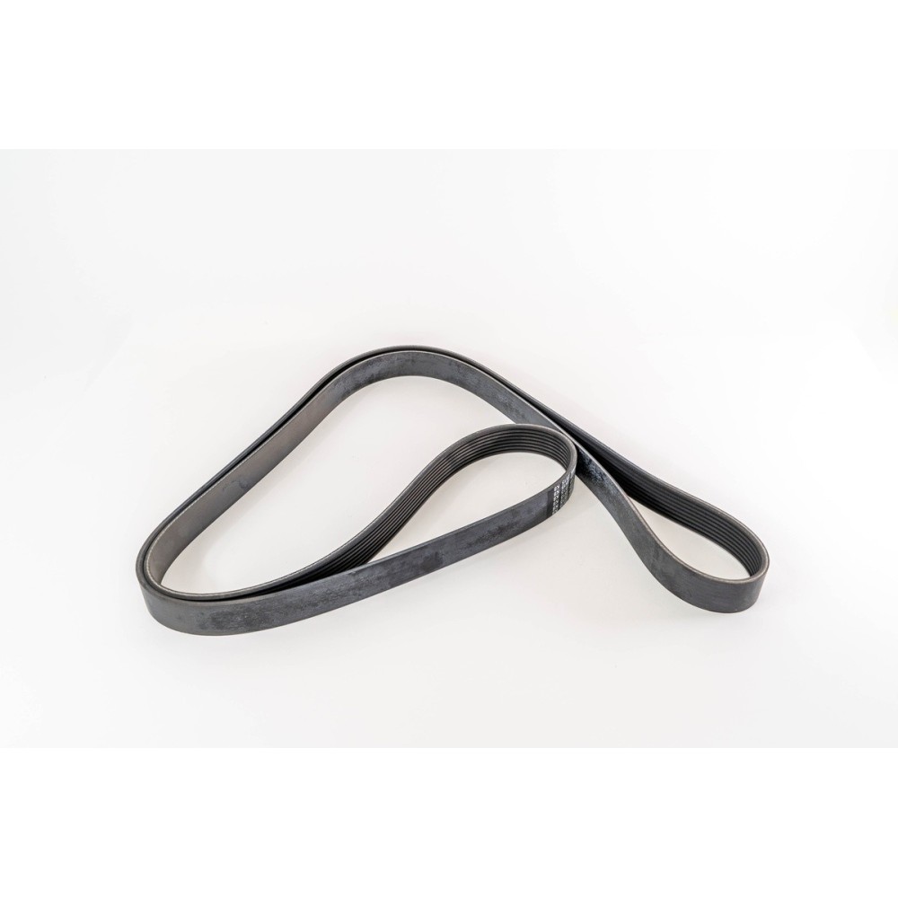 CINGHIA POLI V 8 PK 2515 - Correa OE