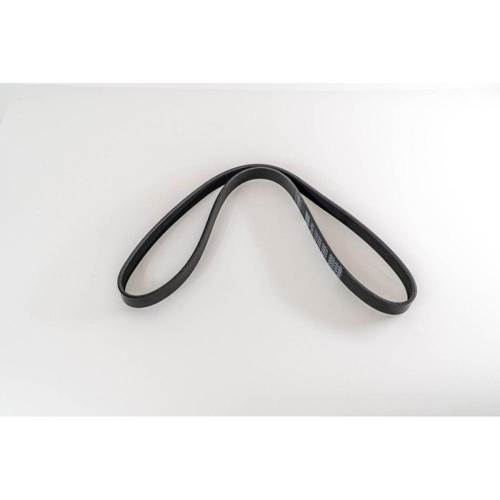 DW10/M4R  2.0 - SCUDO/MEGANE/CORSA - CORREA DAYCO