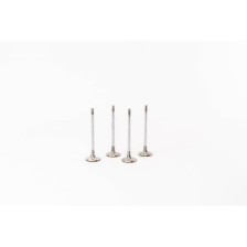 BMW N47 N57  520/530/X1/X3 IN - Valvula MEC