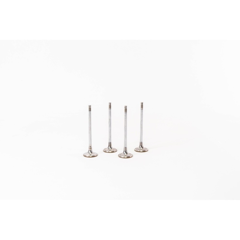 BMW N47 N57  520/530/X1/X3 IN - Valvula MEC