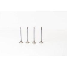 BMW N47 N57  520/530/X1/X3 EX - Valvula MEC