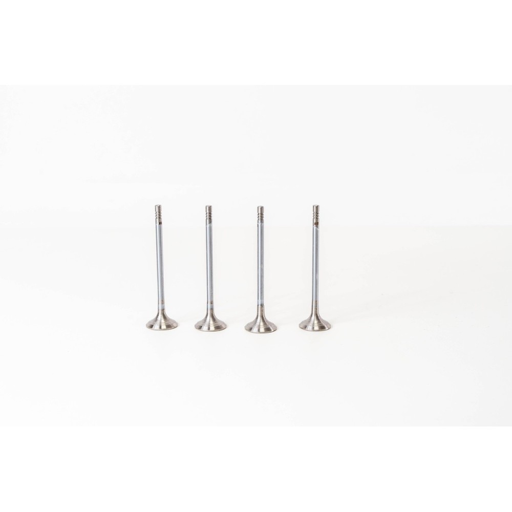 BMW N47 N57  520/530/X1/X3 EX - Valvula MEC