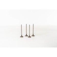 ET3J4  C2/C4/307  IN - Valvula MEC