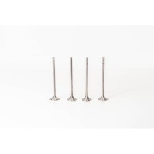 EP6 DS4/C4 MINI       EX - Valvula MEC