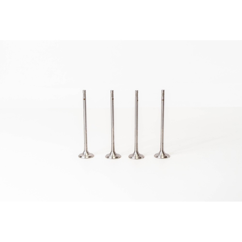 EP6 DS4/C4 MINI       EX - Valvula MEC