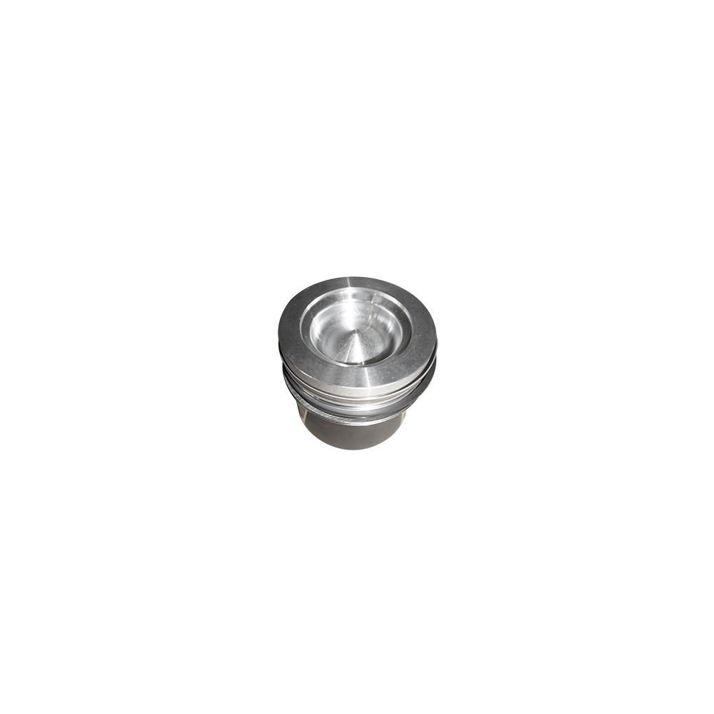 F4DE0684/F4HE9684 - AGR/IND - Piston OE
