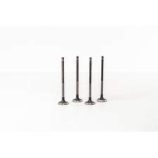 4G92/4G93 - CARISMA/COLT IV 1.6 - Valvula MEC