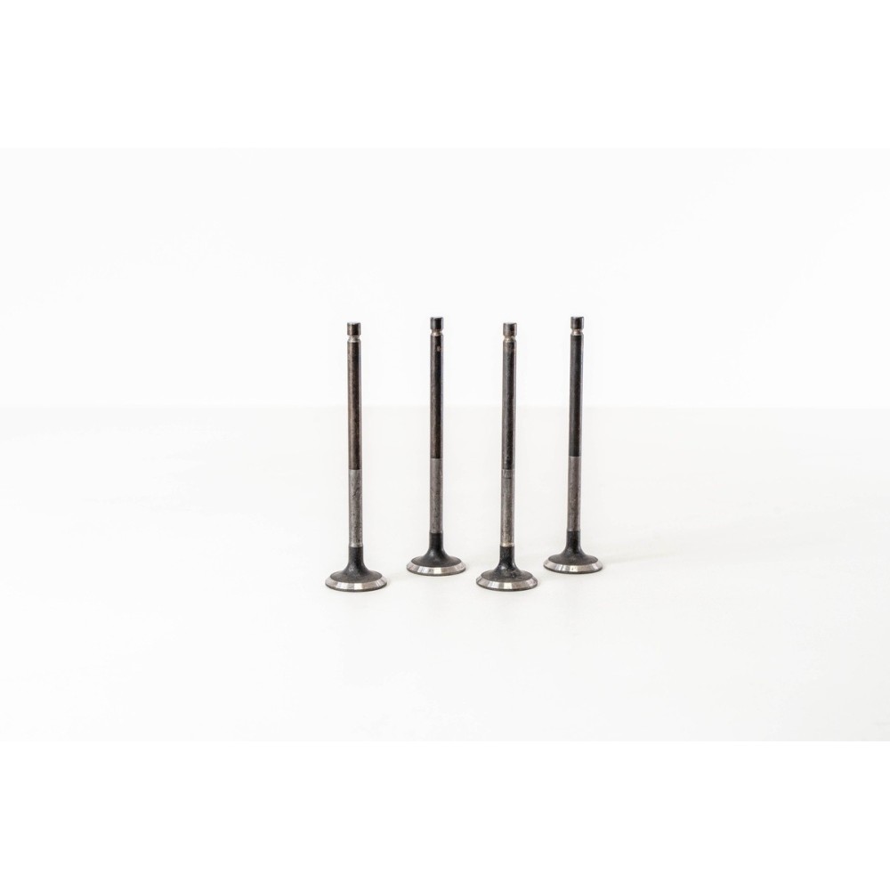 4G92/4G93 - CARISMA/COLT IV 1.6 - Valvula MEC