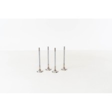 Corsa 1.8 16V A E18XE         EX - Valvula MEC