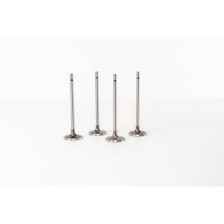 CLIO 2,0 16V  F4R720 - Valvula MEC