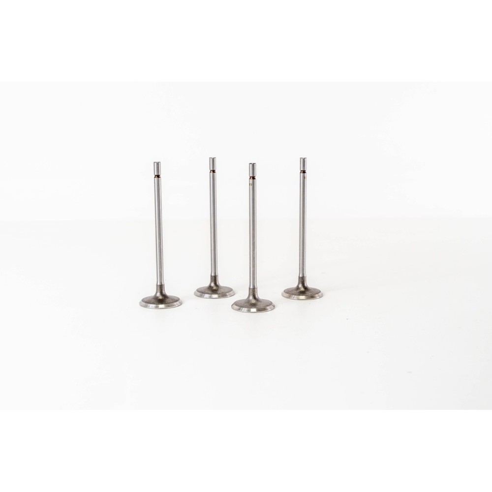 CLIO 2,0 16V  F4R720 - Valvula MEC