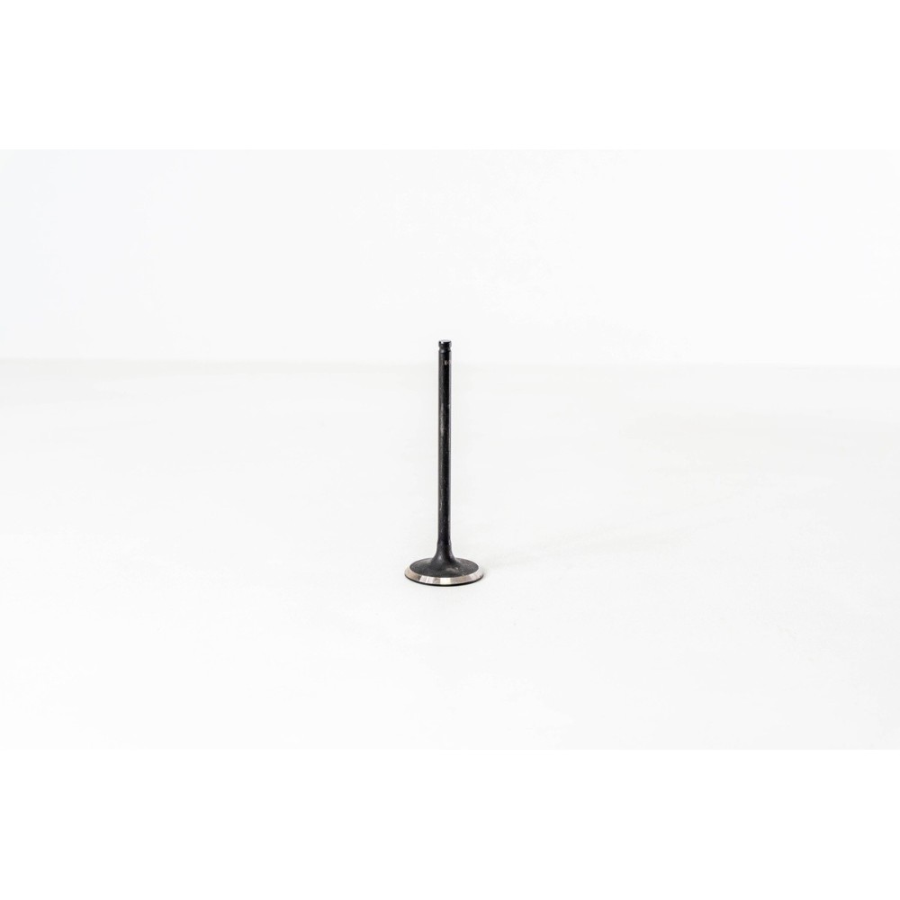 Rav 4 2.0 16V E 1AZFE - Valvula MEC