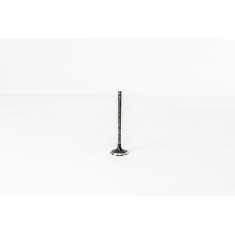 Rav 4 2.0 16V E 1AZFE - Valvula MEC