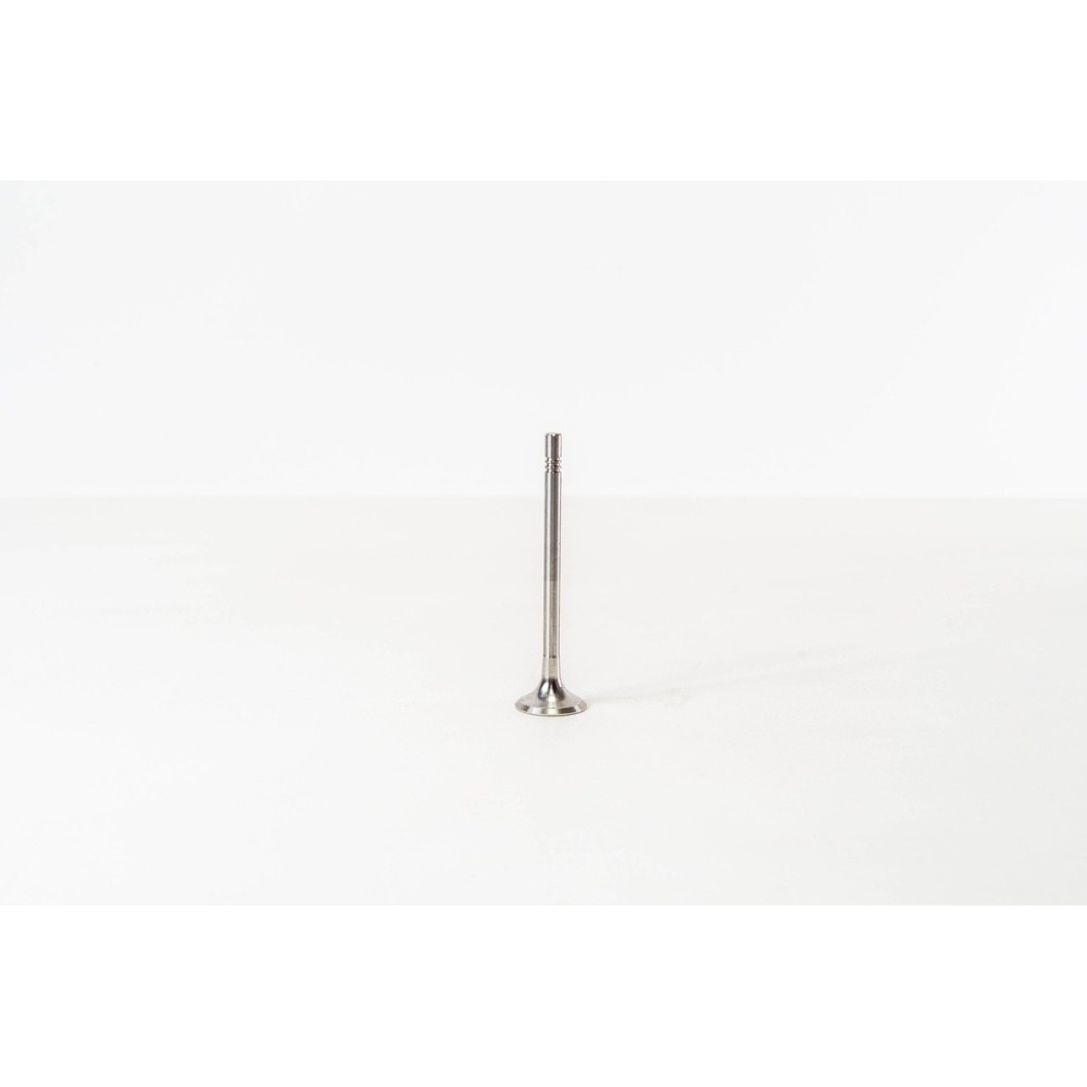 GOLF 2.0 TDI 16V CBAA 26X6X99,1/45° - Valvula MEC