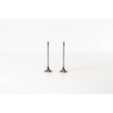 ENC/ENJ/ENR - VOYAGER 2.5 CRD - Valvula MEC